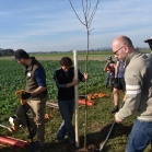 Výsadba ovocných stromů 2019-10-27 058
